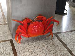 -火福·天湖阁大闸蟹博物馆主题餐厅(浅水湾店)