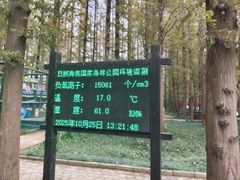 -日照海滨国家森林公园