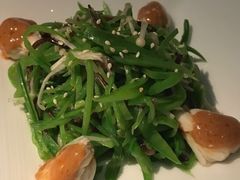 -唐茶苑(Soho)
