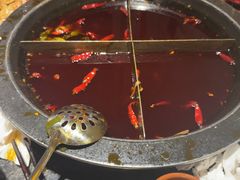 -陈眼镜火锅(总店)