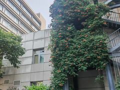 -北京大学口腔医院(魏公村总院)
