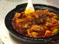 -陈麻婆豆腐总店