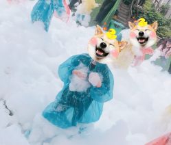 -可可天空农场(中大店)