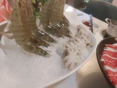 -德天雪花肥牛海鲜火锅(南苑东路店)