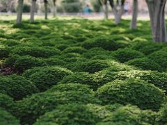 -玄武湖景区-情侣园游乐场