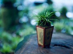 -道南書院·私房菜·早午茶·茶馆