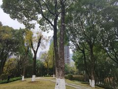 -重庆市江北嘴中央商务区中央公园