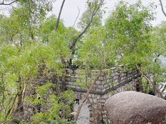 -板樟山森林公园