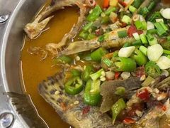 -全乐鱼馆·淳牌有机鱼直营店