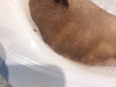 -密友回转自助火锅(世茂国际广场店)