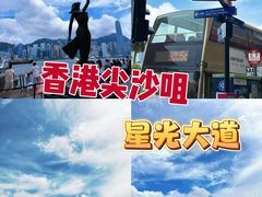 -星光大道