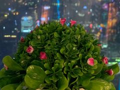 -广州塔晖粤轩中餐厅