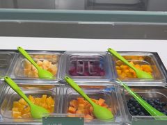 -Salud撒露欧洲冻酸奶(北苑上品店)