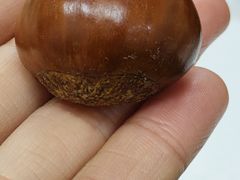 -果蔬好生活超市(东湖店)