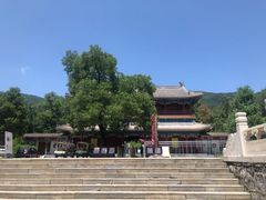-潭柘寺景区