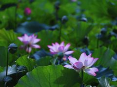 -烈士陵园(地铁站)
