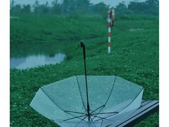 -渌洋湖湿地公园