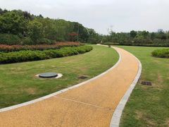 -昆山城市生态森林公园