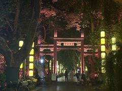 -杭州黄龙洞