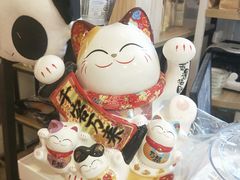 -70cat德文卷毛猫·缅因猫纯种猫舍
