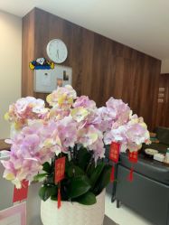 -顾泽医疗美容