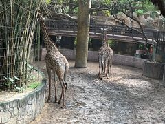 -长鹿旅游休博园