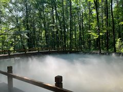-吊水壶国家森林公园