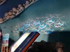 -烟台海昌鲸鲨海洋公园