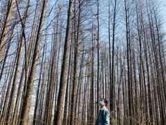 -昆山城市生态森林公园