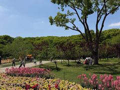 -苏州上方山国家森林公园