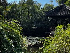 -上海醉白池公园