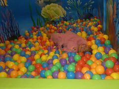 -水晶之星洗浴温泉汗蒸