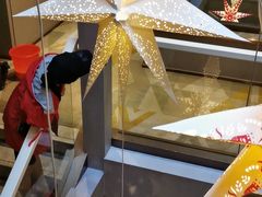 -金色希望596