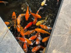 -深圳隐秀山居酒店