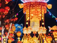 -淄博花灯齐彩城