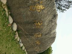 android_upload_pic-漕湖湿地公园