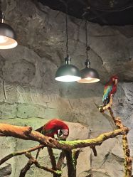 -Zoolung Zoolung动物主题公园(海信广场店)