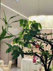 -新蝶变皮肤管理中心