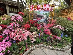 -惠山古镇·寄畅园