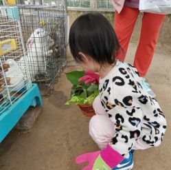 -前小桔亲子创意农场·草莓采摘·露营烧烤