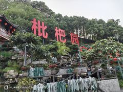 -枇杷园食为鲜火锅(南山店)
