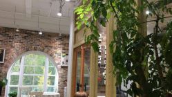 -星豆豆儿童摄影(南郊太白南路店)