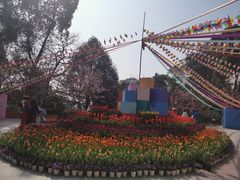 -南山植物园