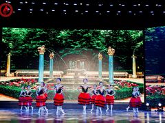 -西安小天鹅艺术团(曲江Alice店)