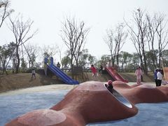 -春花秋色城市公园