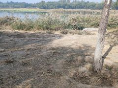 -北京麋鹿生态实验中心