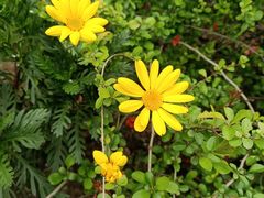 -杭州城北体育公园