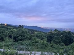 -金水泊山庄·花椒鸡(铁山坪店)