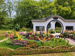 -上海共青森林公园