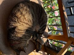 -猫的天空之城概念书店(杭州南宋御街店)